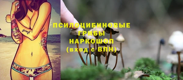 СК Дмитров