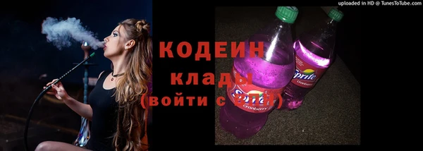 СК Дмитров