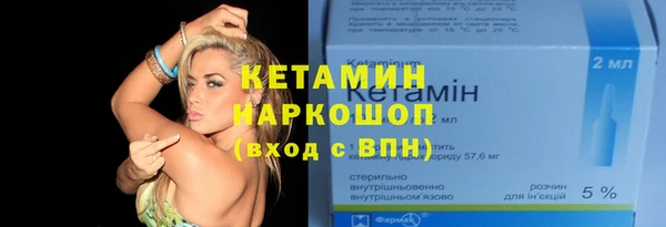 СК Дмитров