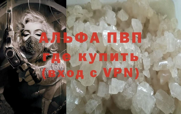 СК Дмитров