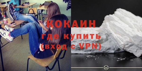 СК Дмитров