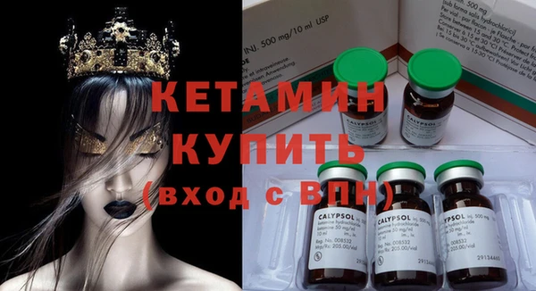 СК Дмитров