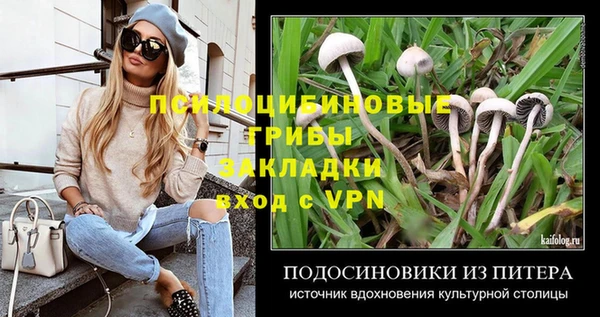 СК Дмитров