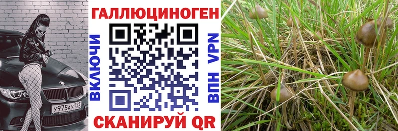 Галлюциногенные грибы MAGIC MUSHROOMS  закладки  Певек 