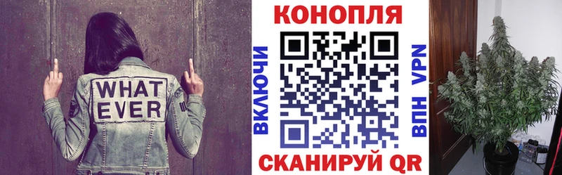 Канабис марихуана  купить закладку  Певек 